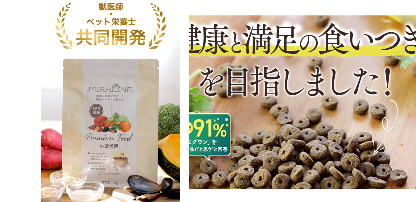 モグワンとミシュワンを徹底比較！愛犬に最適なドッグフードはどっち？